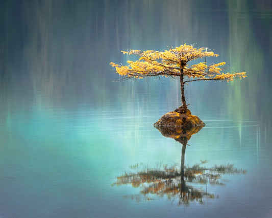 Reflections